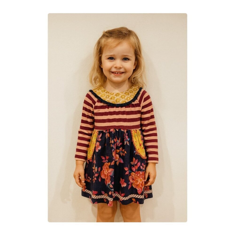 Wild Flowers Dress Girls Size 4 Striped Floral Long Sleeve Pocket Casual